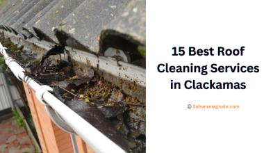 Best Roof Cleaning Services in Clackamas