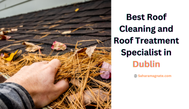 Best Roof Cleaning and Roof Treatment Specialist in Dublin