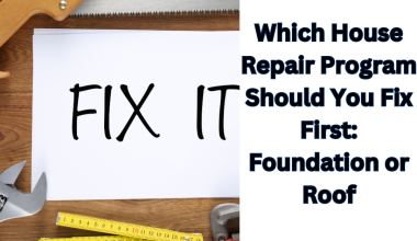 Which House Repair Program Should You Fix First: Foundation or Roof