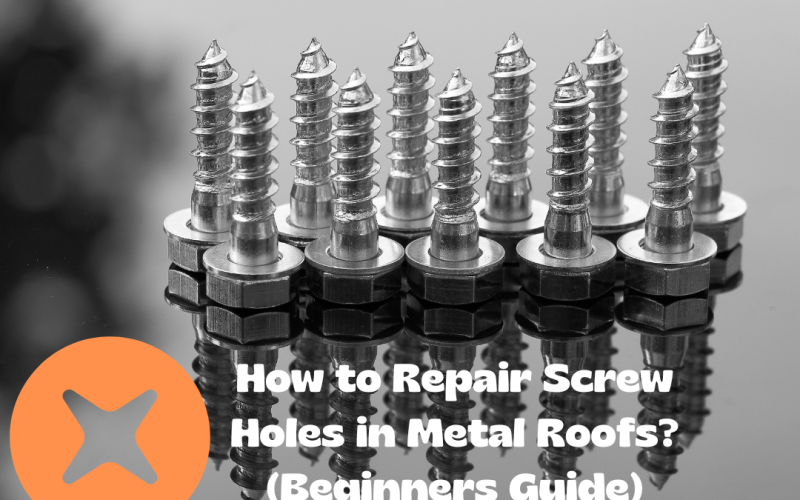 How to Repair Screw Holes in Metal Roofs? (Beginners Guide)