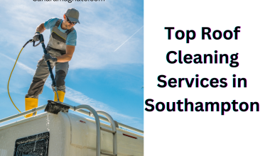 Top Roof Cleaning Services in Southampton