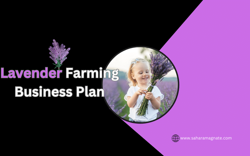 lavender farm business plan template