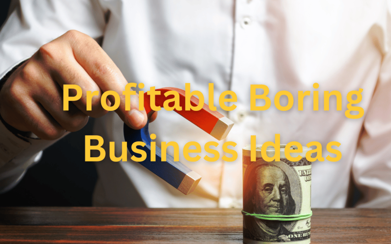 Profitable Boring Business Ideas