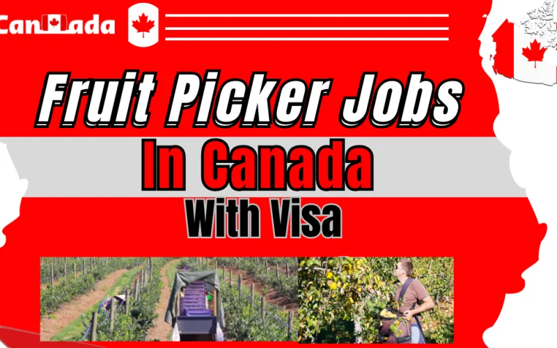 Apple picker Worker needed with Visa sponsorship in Canada