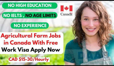 Dairy Farm Worker Jobs with Visa Sponsorship in canada